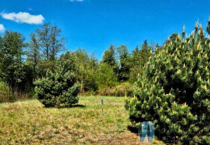 Działka siedliskowa z wz nad rzeką narew