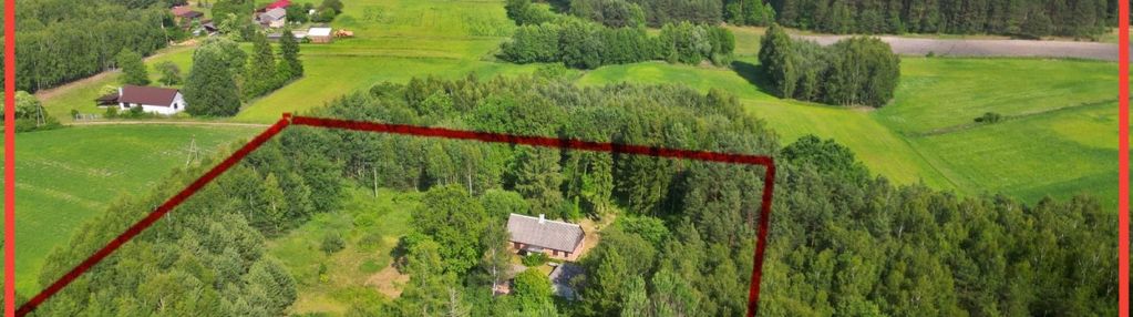 Magiczne siedlisko otulone lasem borów tucholskich