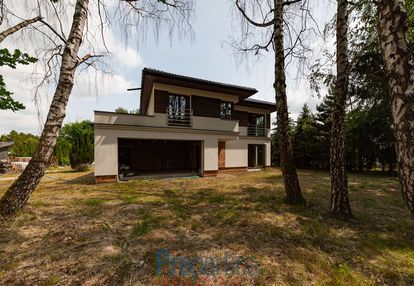 Nowoczesny dom wolnostojący, złotokłos