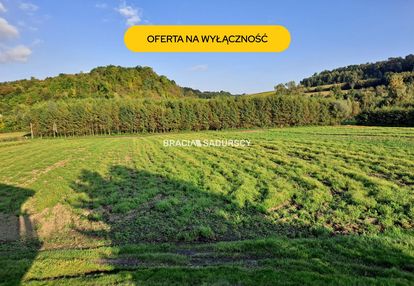 Działka budowlana polekarcice