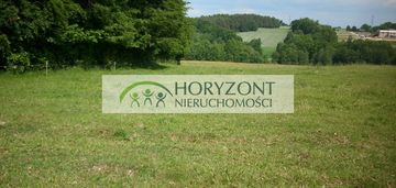 Działka budowlana przodkowo - bursztynik