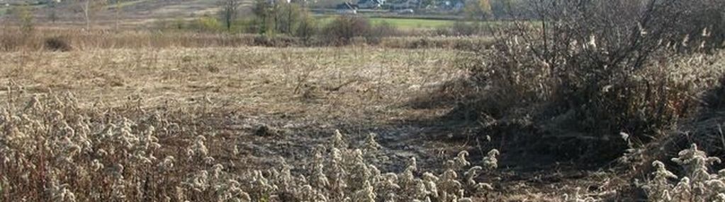 Kraków działka rolna 72a -skotniki