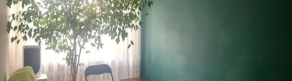 Przytulne | nowe instalacje  | cisza i zieleń