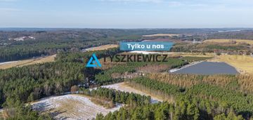 Działka zalesiona w chociminie