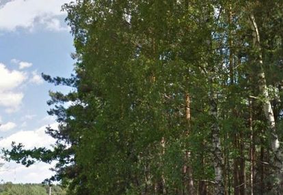 Działka budowlana w lesie - chwaszczyno