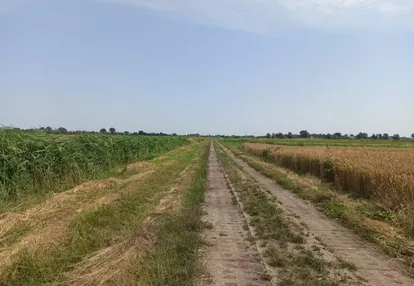 Działka na sprzedaż 219m2