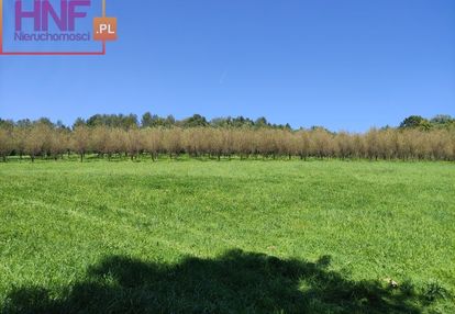 Atrakcyjne grunty w miejscowości janczowa
