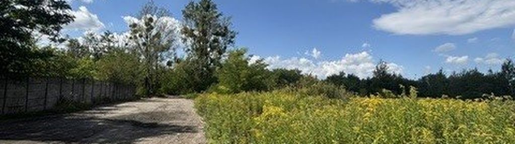 Działka inwestycyjna 19 644 m² - bytom-łagiewniki - mpzp 5.p