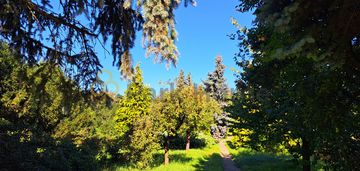 Twój azyl wśród zieleni