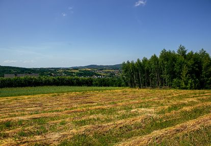 Działka rolno-budowlana w gromniku!