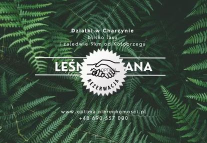 Działka z widokiem na las, obok vilpark