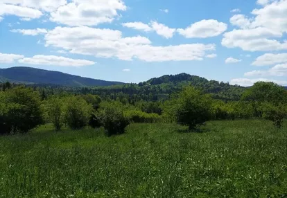 Działka na sprzedaż 7863m2