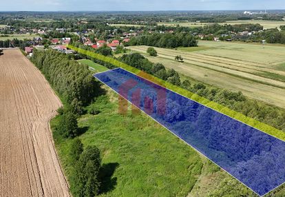 53 ary z lasem, nie opodal dk94, kemping