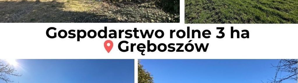 Dom z polem na sprzedaż, ponad 3 ha, gręboszów