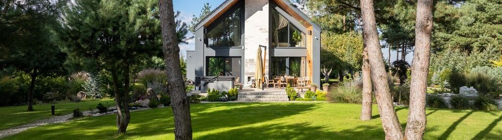 Wyjątkowa posiadłość w wilkowyi koło  jarocina