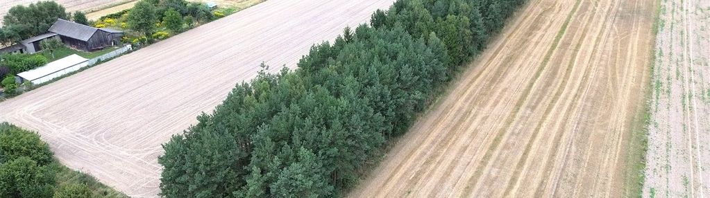 Działka rolno-rekreacyjna, droga dojazdowa