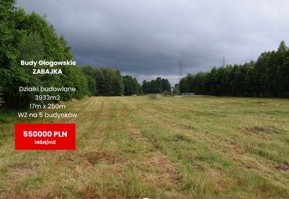 Działki budowlane 39a w budach głogowskich