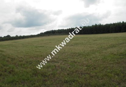 Pniewy działka 12.760m2