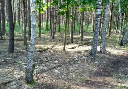 Działka na sprzedaż 3000m2