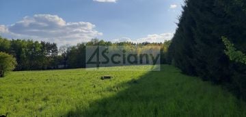 Postaw bliźniaka na dużej działce w ruścu