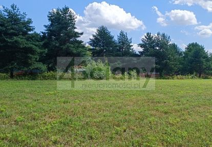 Działka blisko lasu