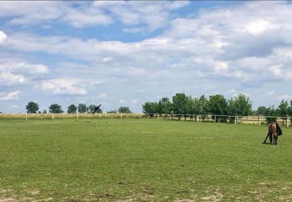 Działka inwestycyjna 8500m2, aleksandrów łódzki
