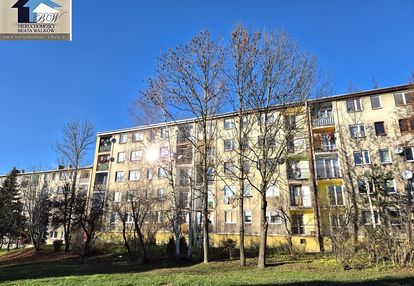 Mieszkanie dla konesera