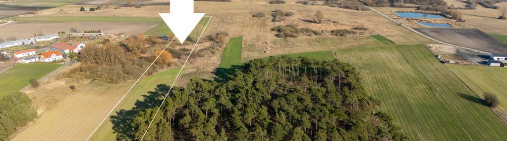 Przestronna działka 15 200 m² w łuszczewie