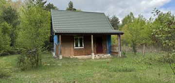 Domek wakacyjny na dużej działce z lasem