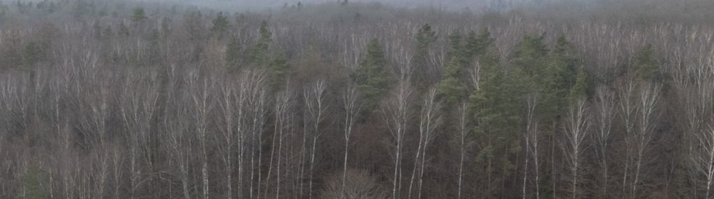 Cewice dom wolnostojacy działka 2142 m2