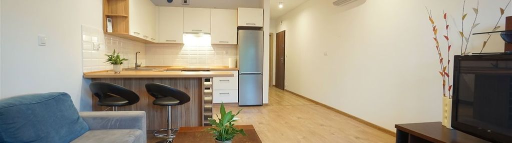 Paderewskiego/47m2/od lutego/mile widziany piesek