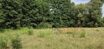 Duża działka budowlana z własnym lasem