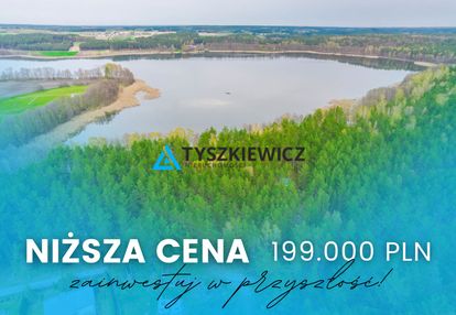 Las z linią brzegową jeziora - piece %nowa cena%