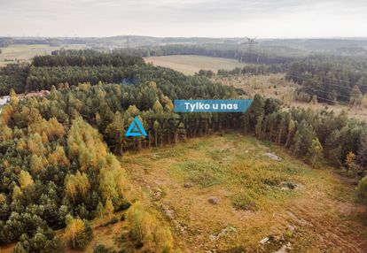 Działka budowlana w kowalewie pod lasem