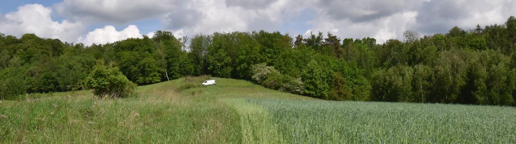 Urokliwa działka w otaczaniu lasu - myślęcin