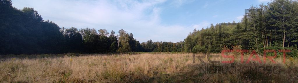 Urokliwe działki budowlane - benenard