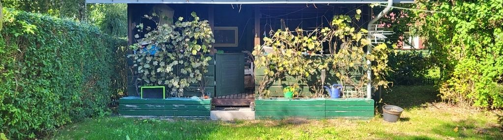 Cisza i spokój w rozkopaczewie, do negocjacji