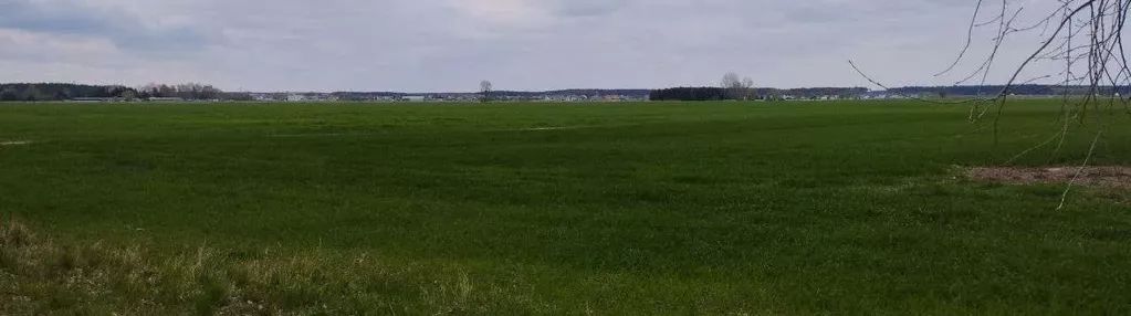 20 zł m2 ziemi ! 1,23ha LESZNO ul. Henrykowska