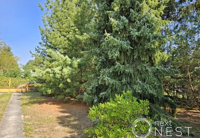 Unikatowa dzialka i lokalizacja- starodrzew,