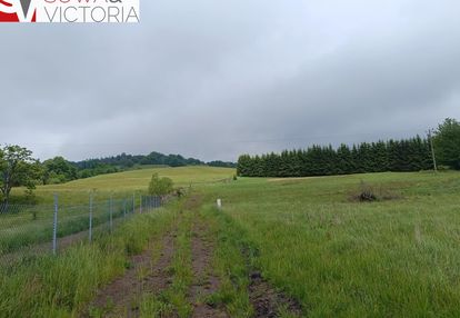 Kameralne miejsce z przyłączem  elektrycznym