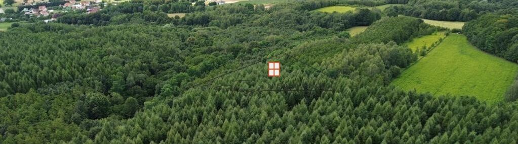 Na sprzedaż wyjątkowy kompleks leśny 15,43 h (las)