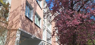 Cisza i spokój w centrum miasta! satrówka.