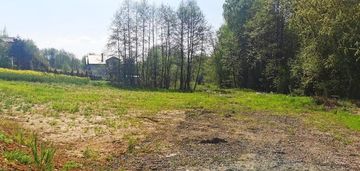 Zabłocie gmina biskupice działka 11,76a