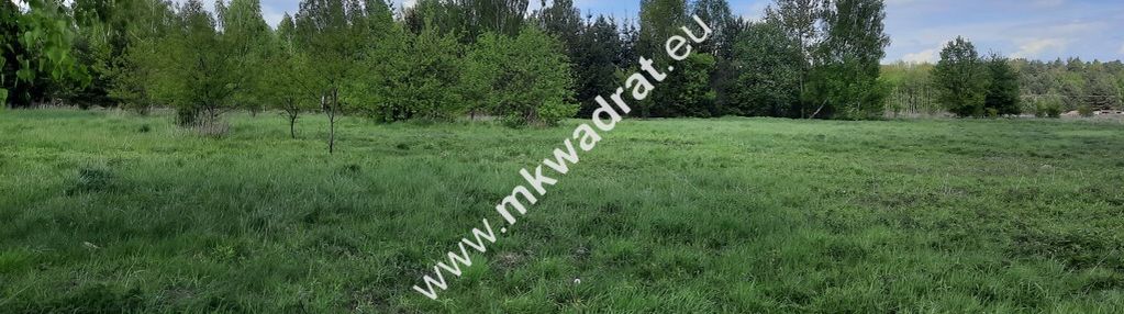 Śliczna działka w leśnej okolicy