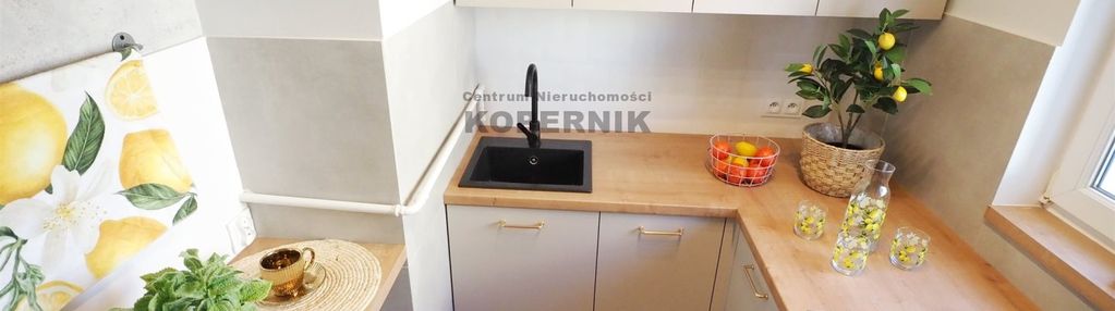 Dla studenta 2 pokoje po remoncie umk