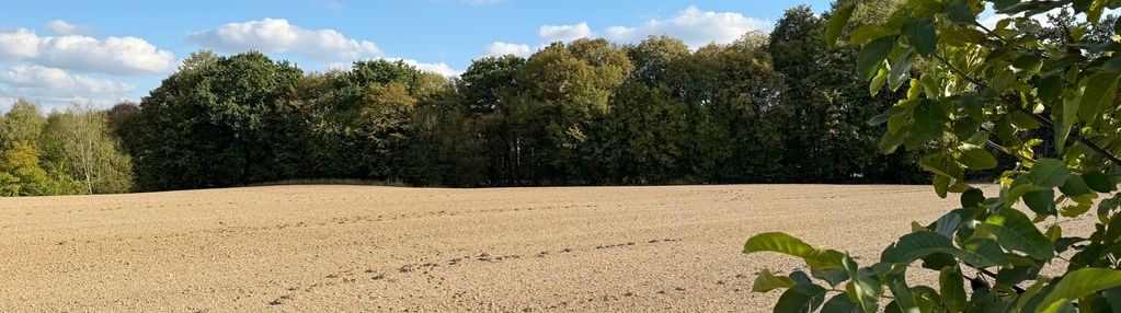 Fantastyczna działka pod dom lub bliźniak
