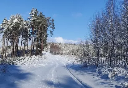 Działka na sprzedaż 3100m2