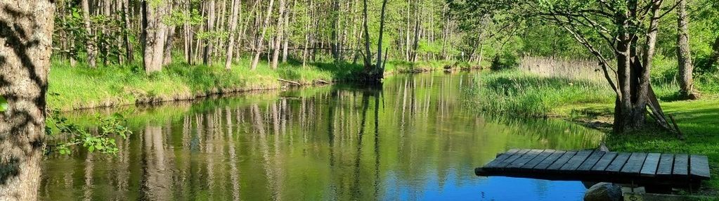 Działka, linia brzegowa czarna hańcza,