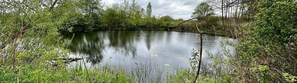 ** piękna działka z własnym jeziorem **