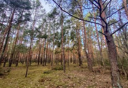 5174m2 działka - ziewanice